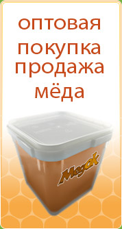 Оптовая покупка и продажа меда