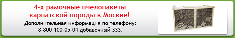 4-� �������� ����������� ���������� ������